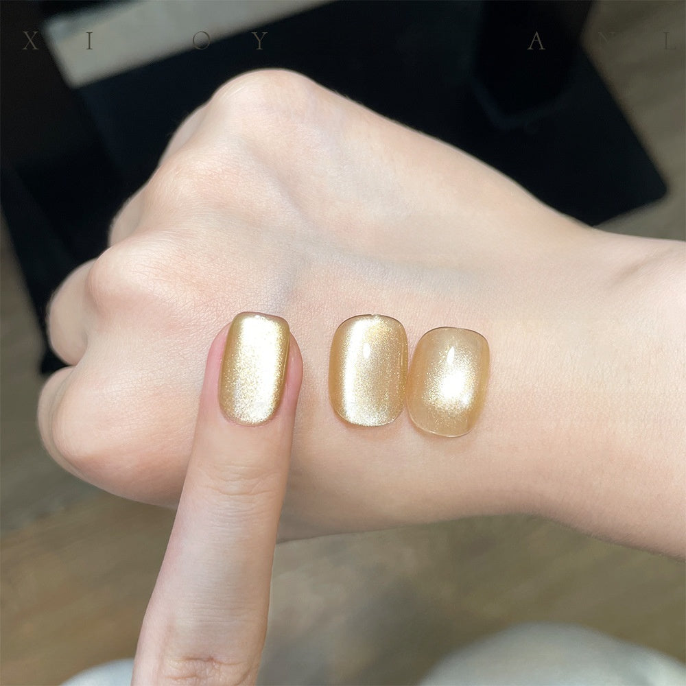 22 Color Cat Eye Nail Gel Set