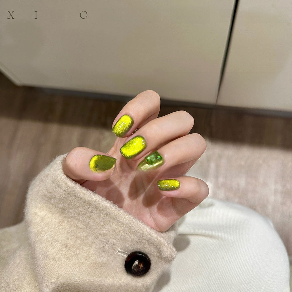 22 Color Cat Eye Nail Gel Set