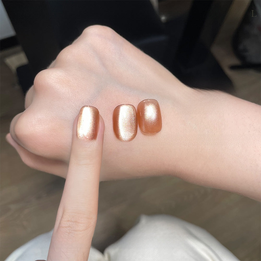 22 Color Cat Eye Nail Gel Set