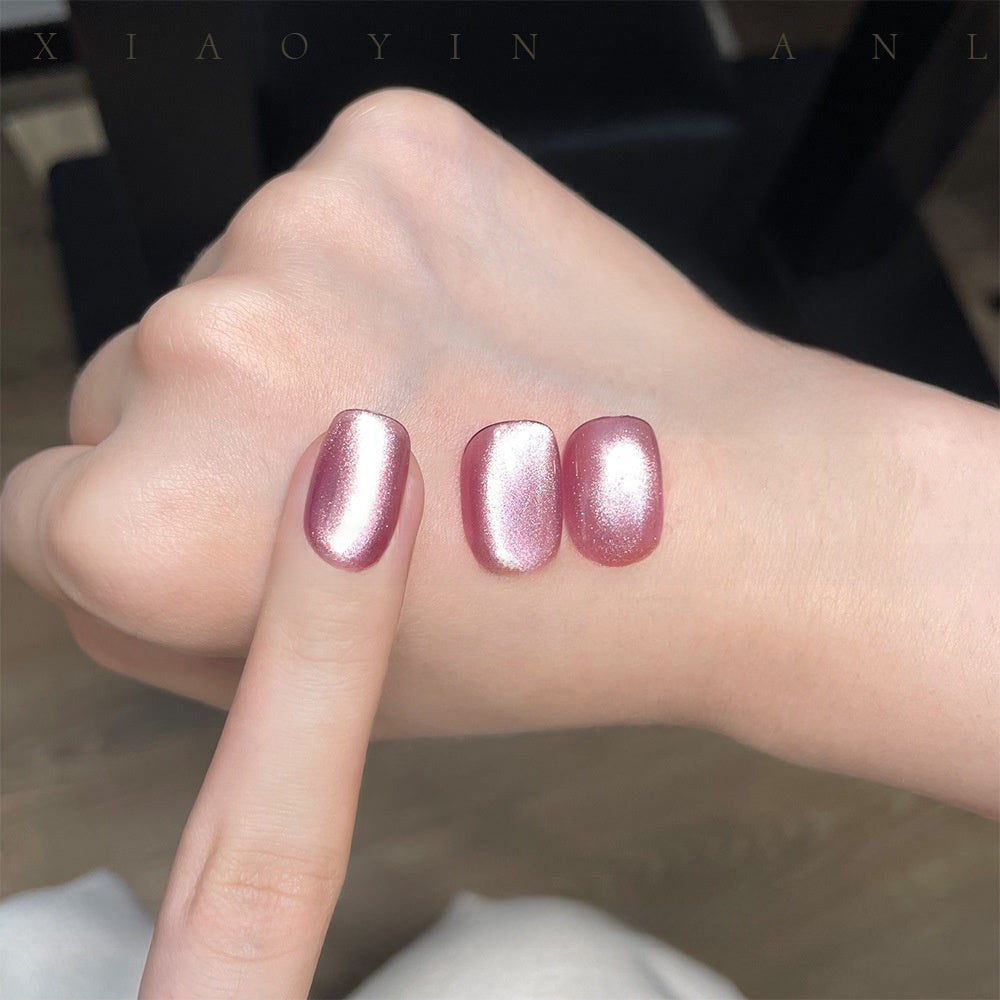 22 Color Cat Eye Nail Gel Set