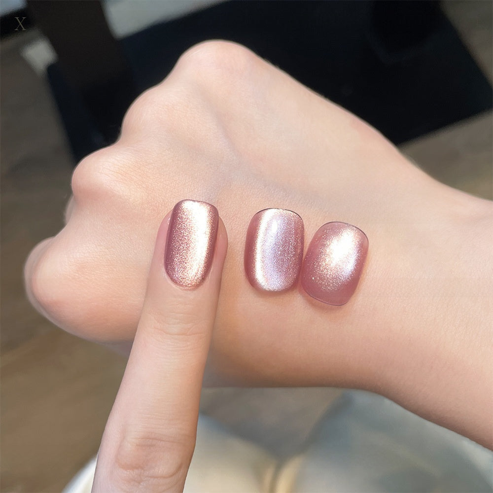 22 Color Cat Eye Nail Gel Set