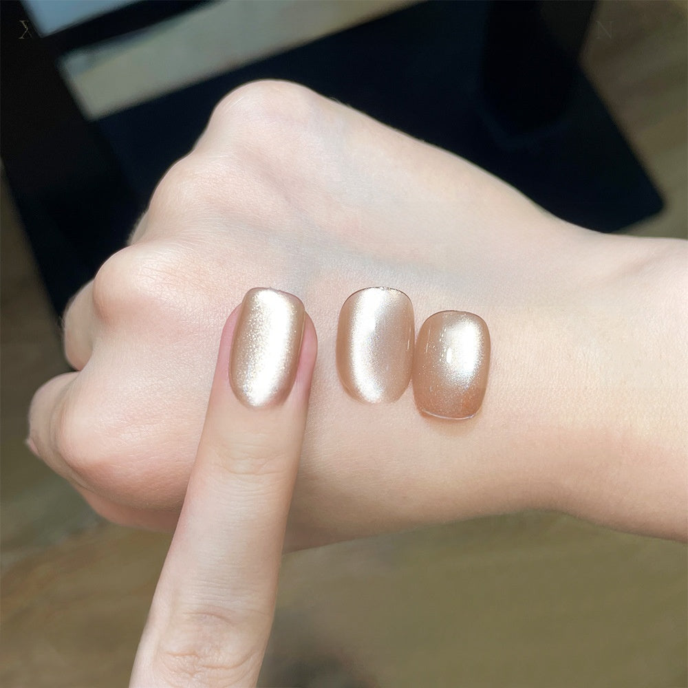 22 Color Cat Eye Nail Gel Set