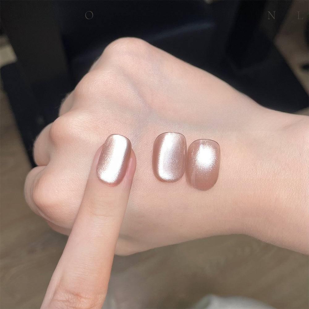 22 Color Cat Eye Nail Gel Set