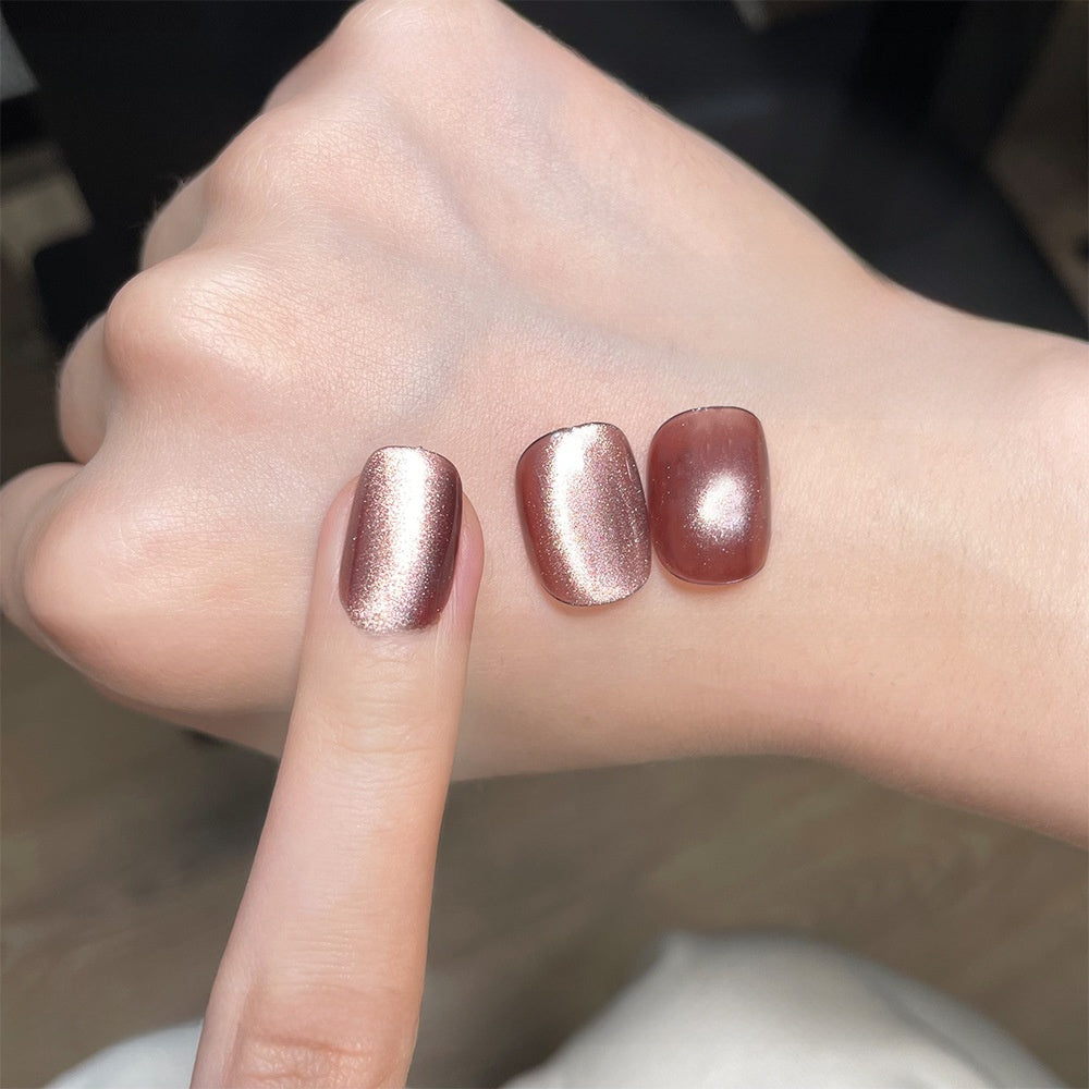 22 Color Cat Eye Nail Gel Set