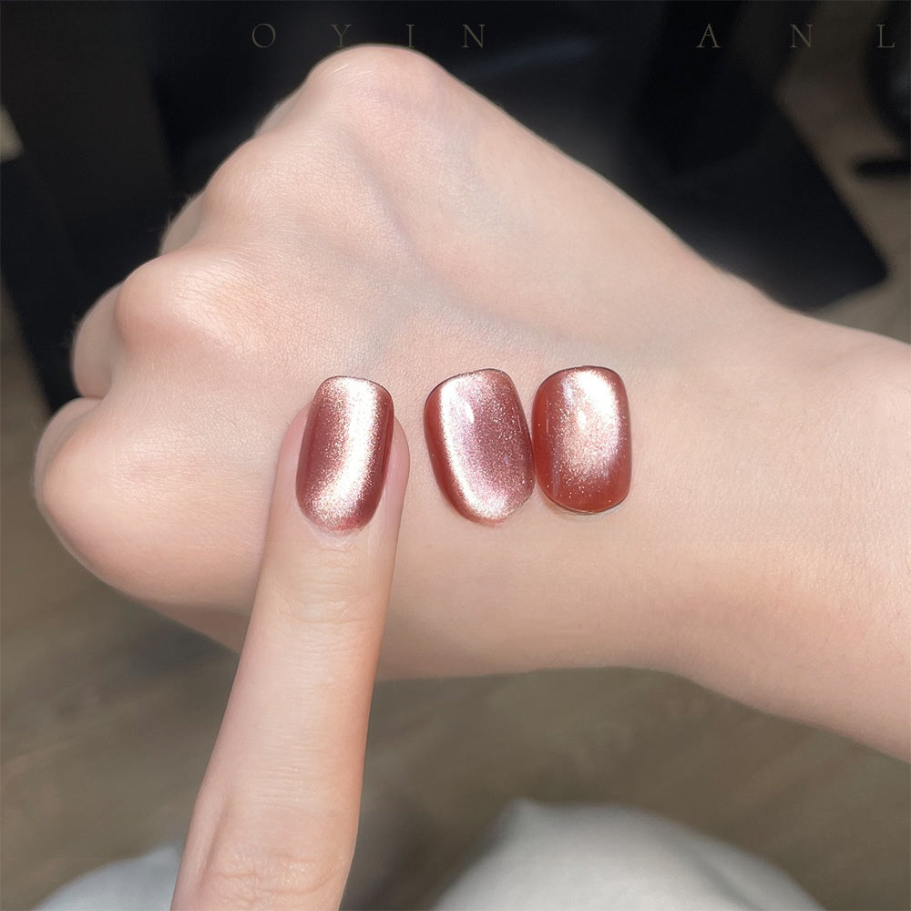 22 Color Cat Eye Nail Gel Set