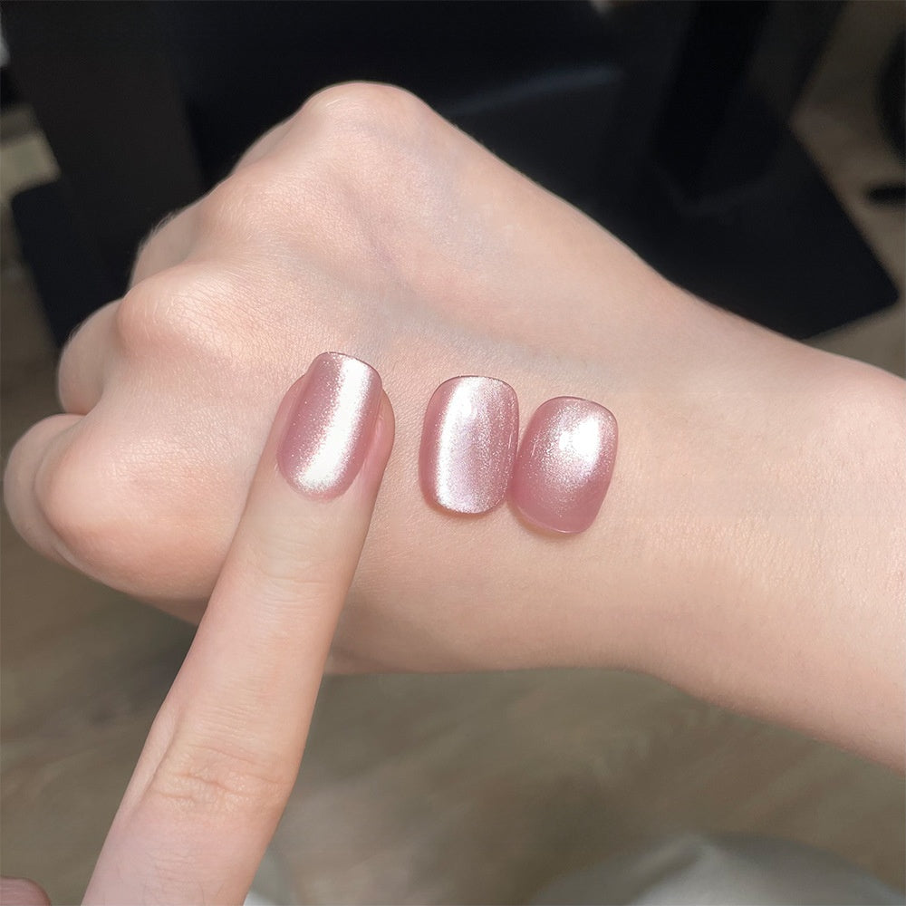 22 Color Cat Eye Nail Gel Set